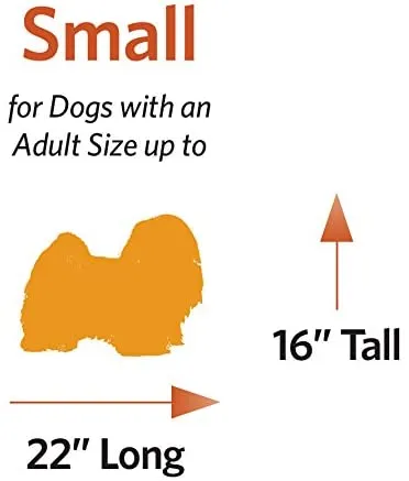 24" Folding Metal Dog Crate for Small Dogs - iCrate Single Door Dog Crate  - 24L x 18W x 19H