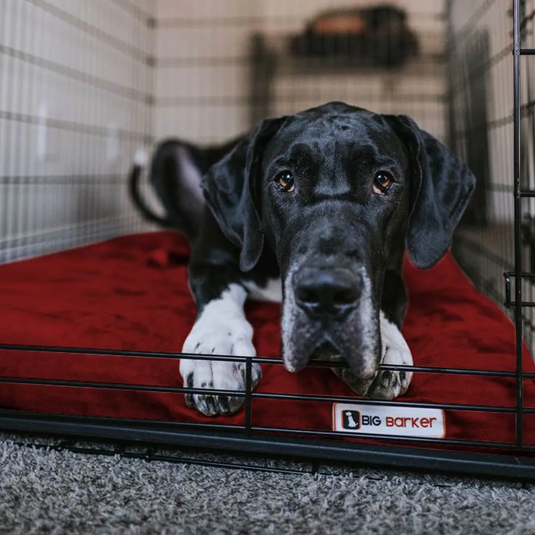 4" Orthopedic Crate Bed