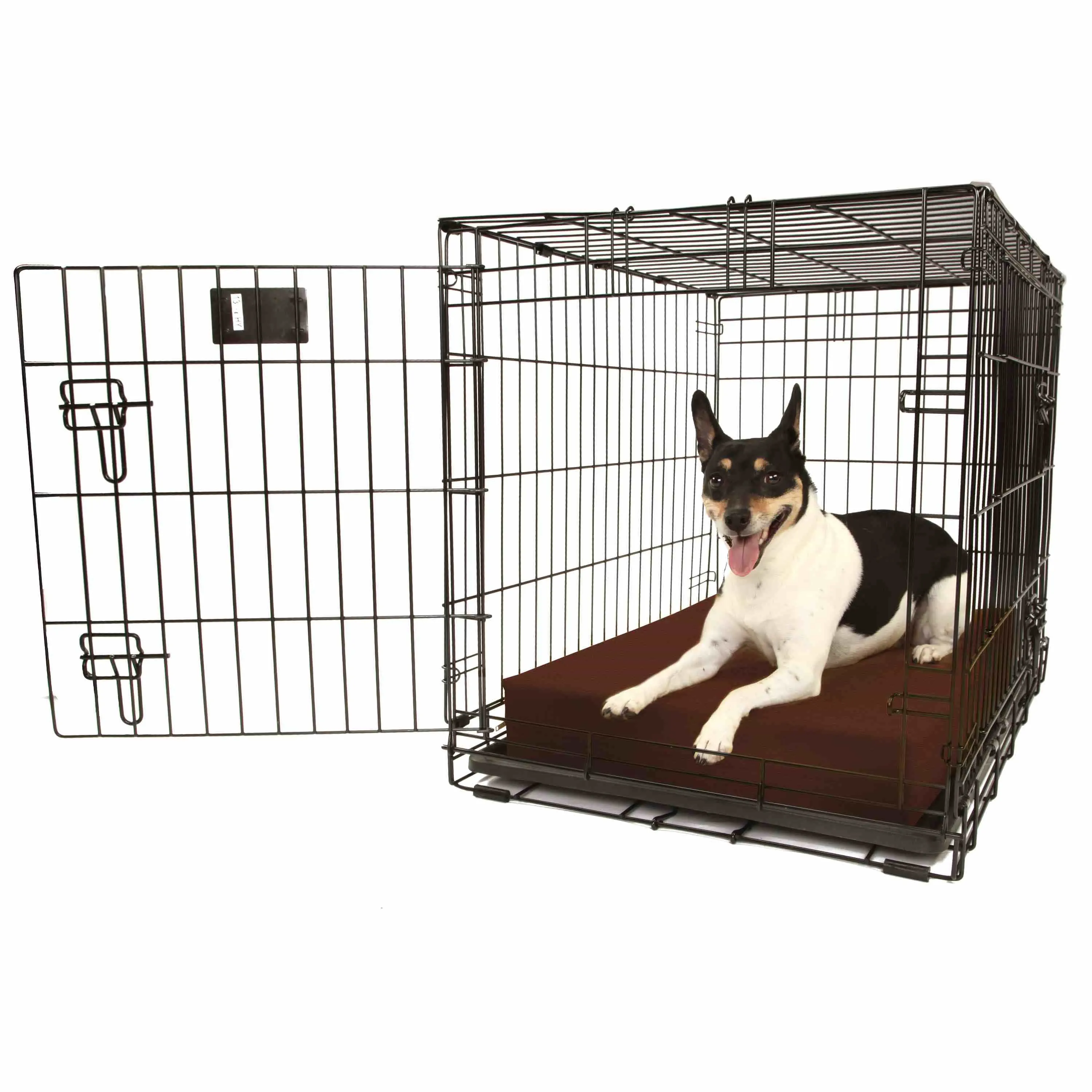 4" Orthopedic Crate Bed
