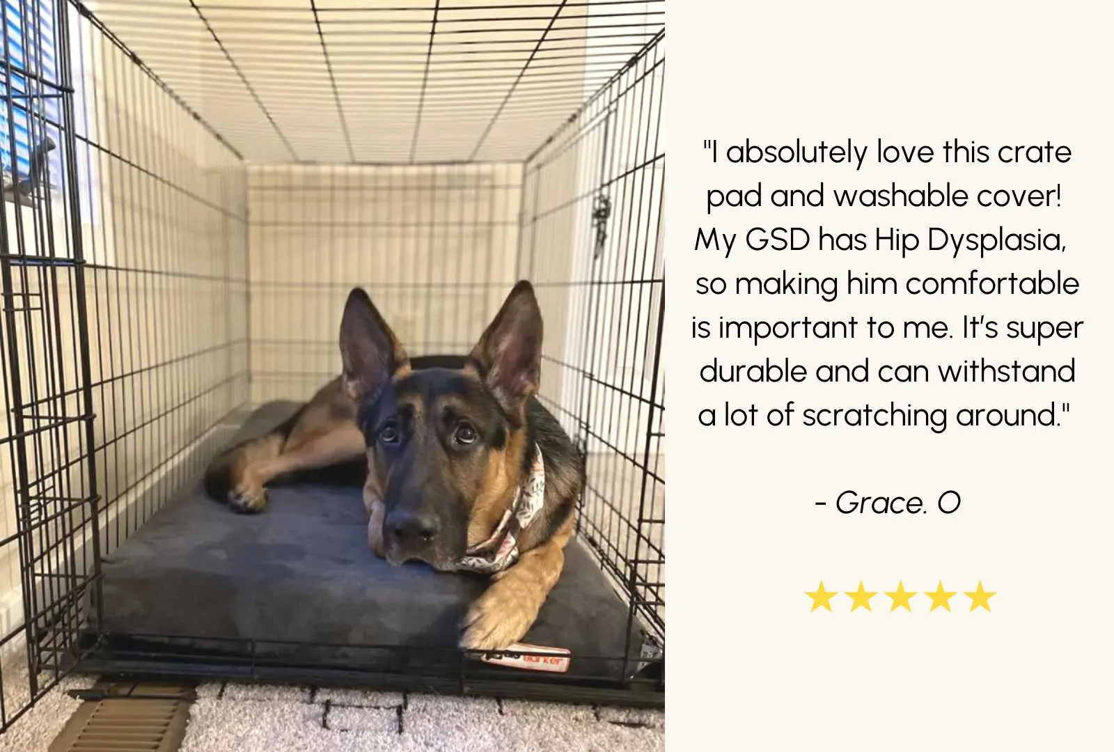 4" Orthopedic Crate Bed