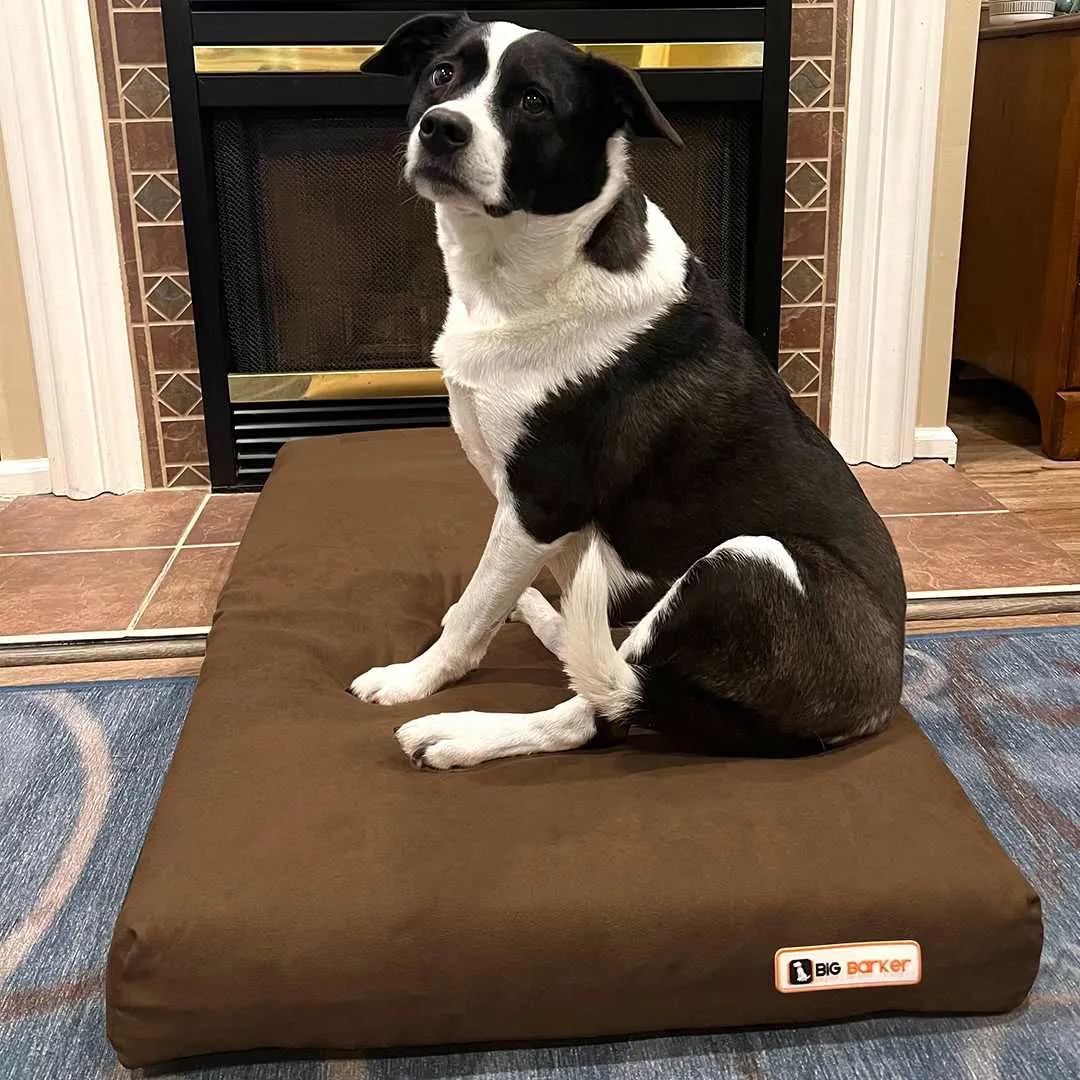 4" Orthopedic Crate Bed