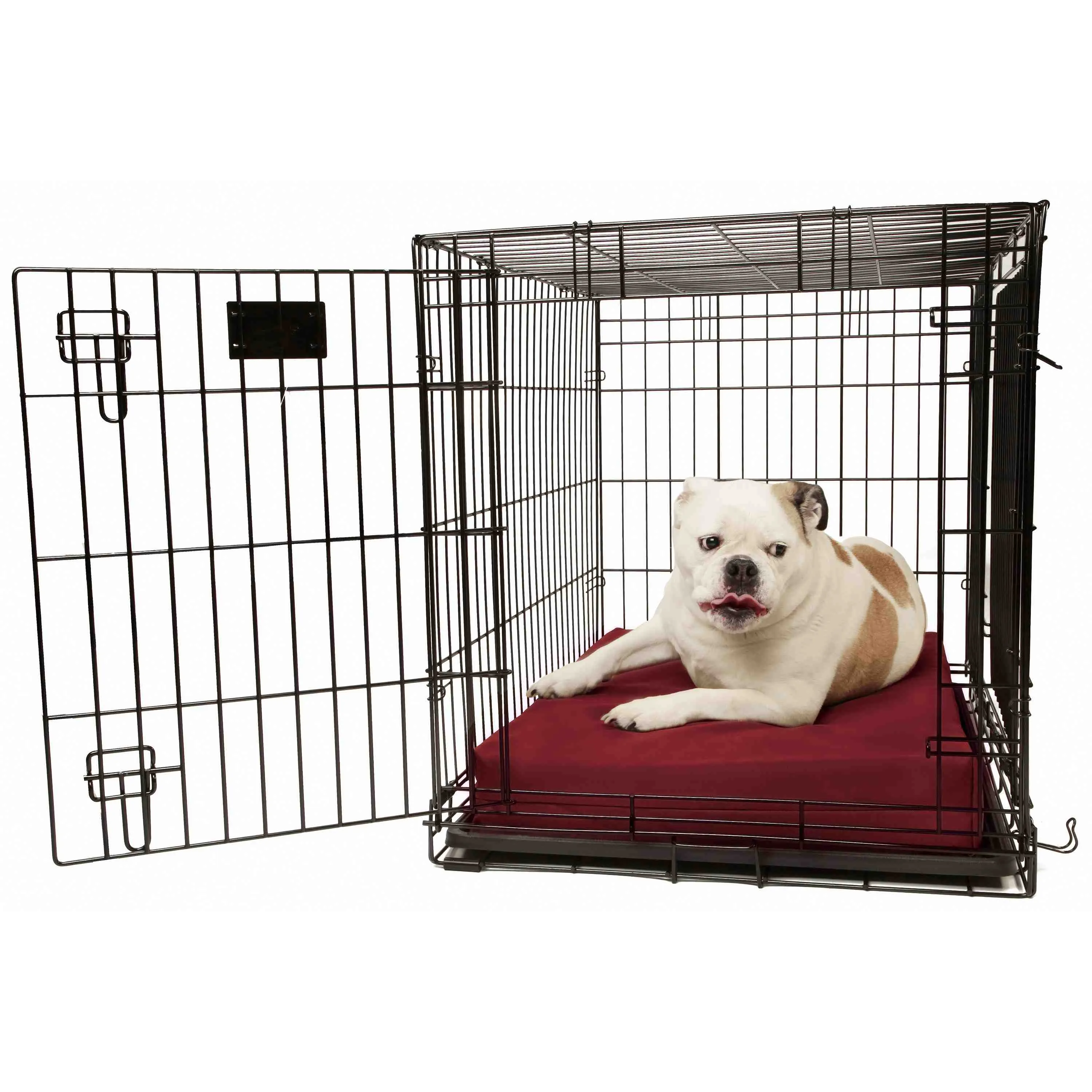 4" Orthopedic Crate Bed
