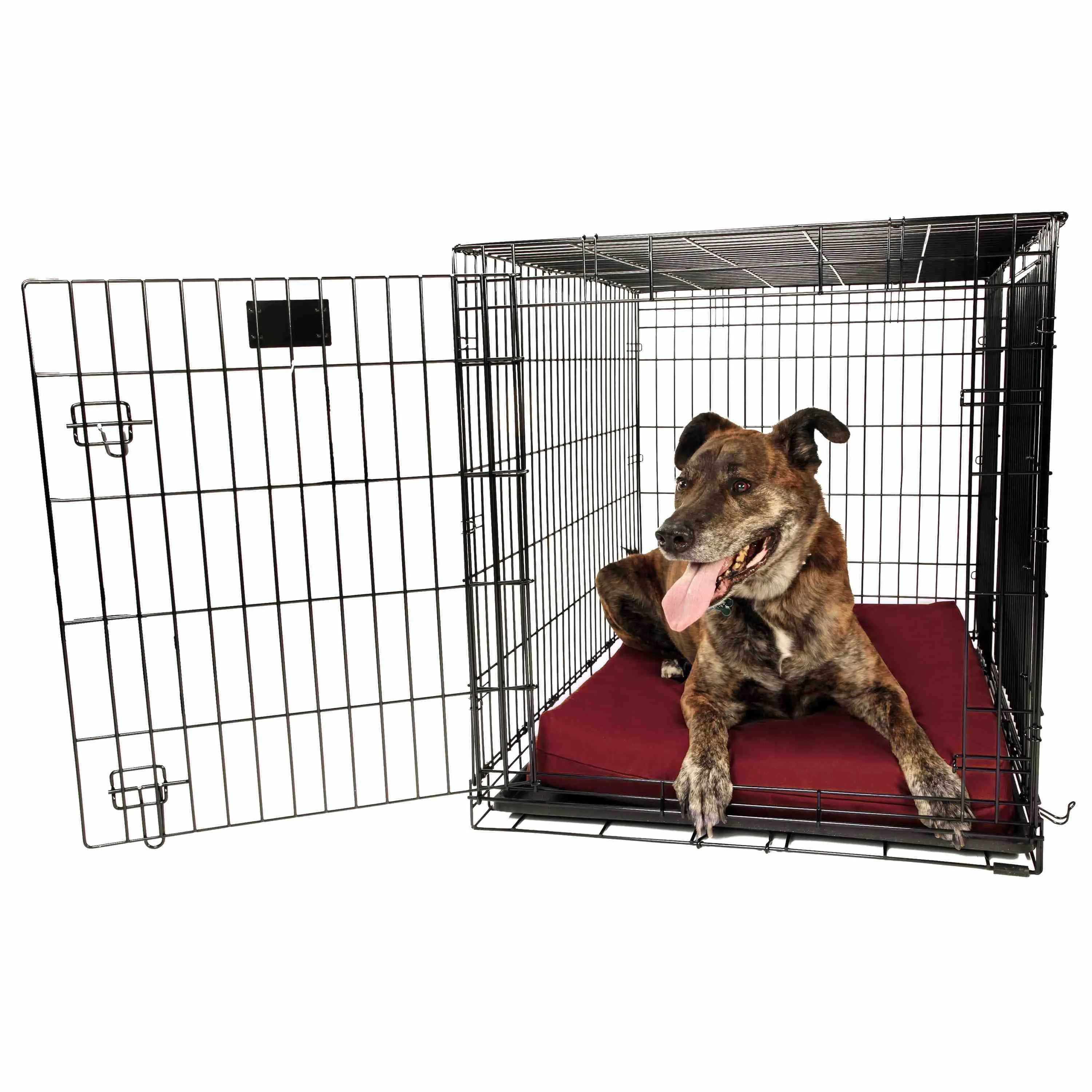 4" Orthopedic Crate Bed