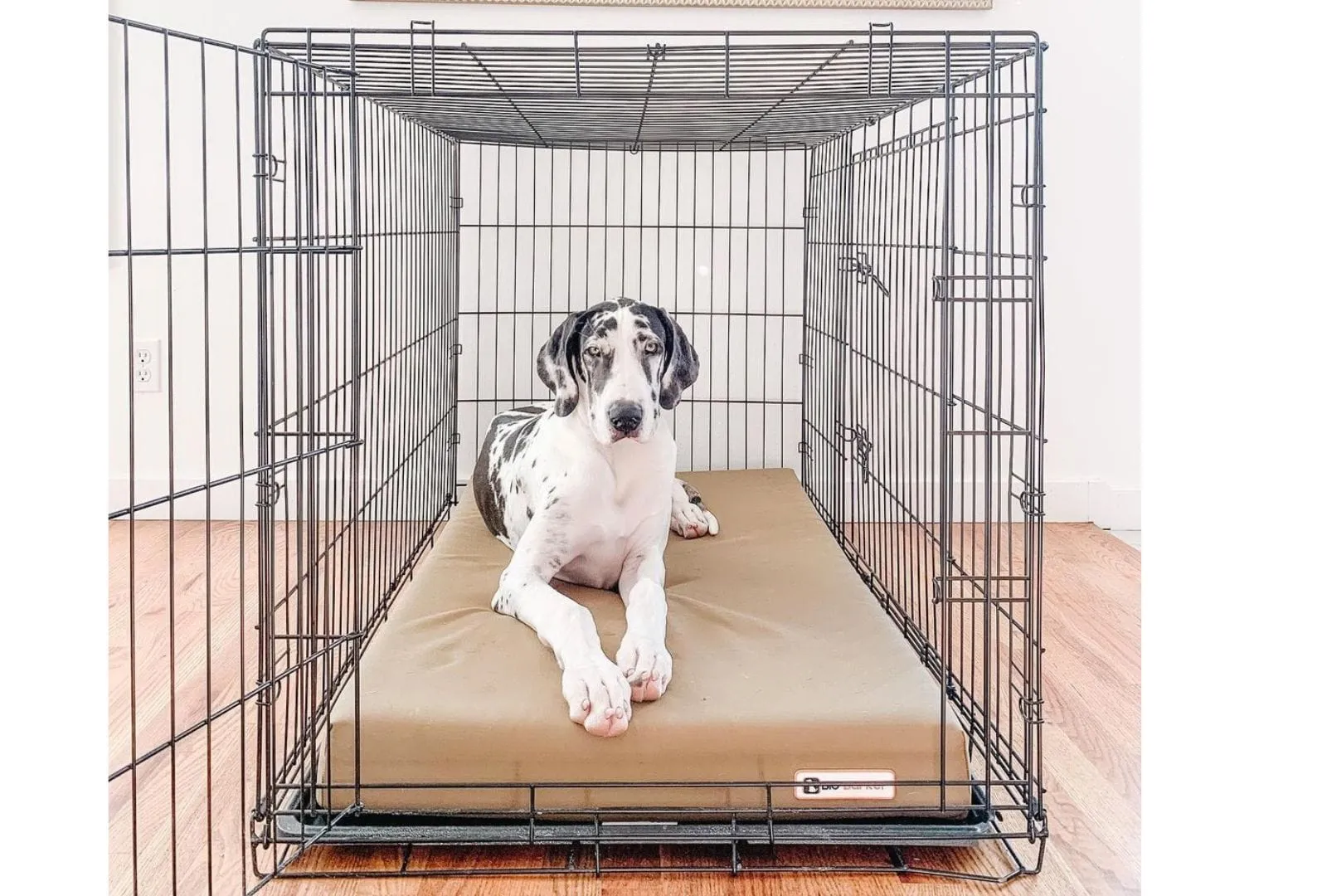 4" Orthopedic Crate Bed