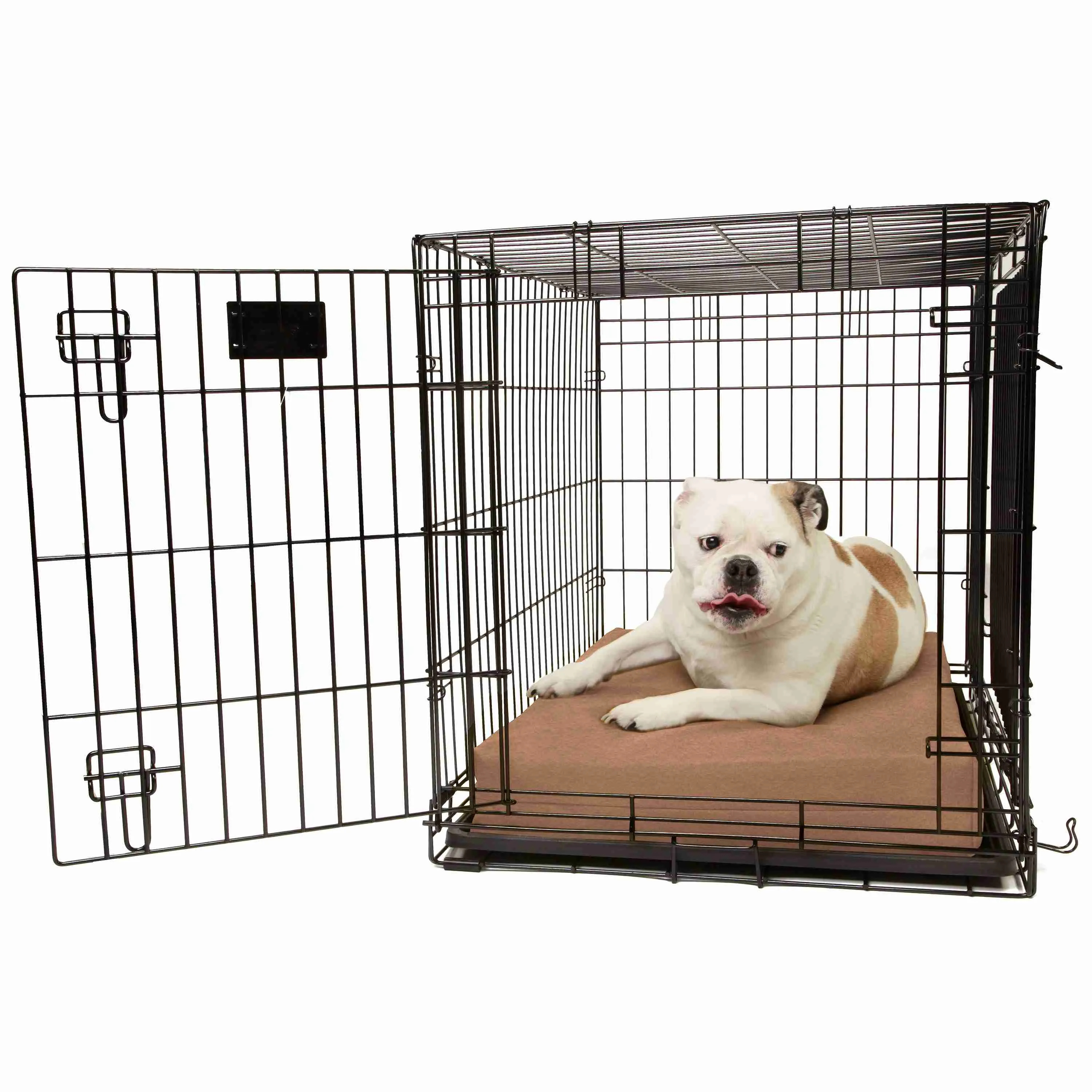 4" Orthopedic Crate Bed
