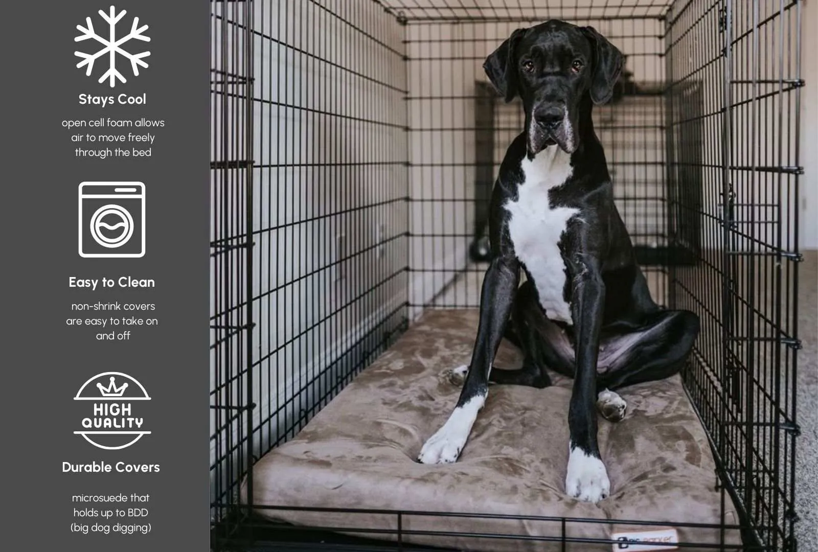 4" Orthopedic Crate Bed