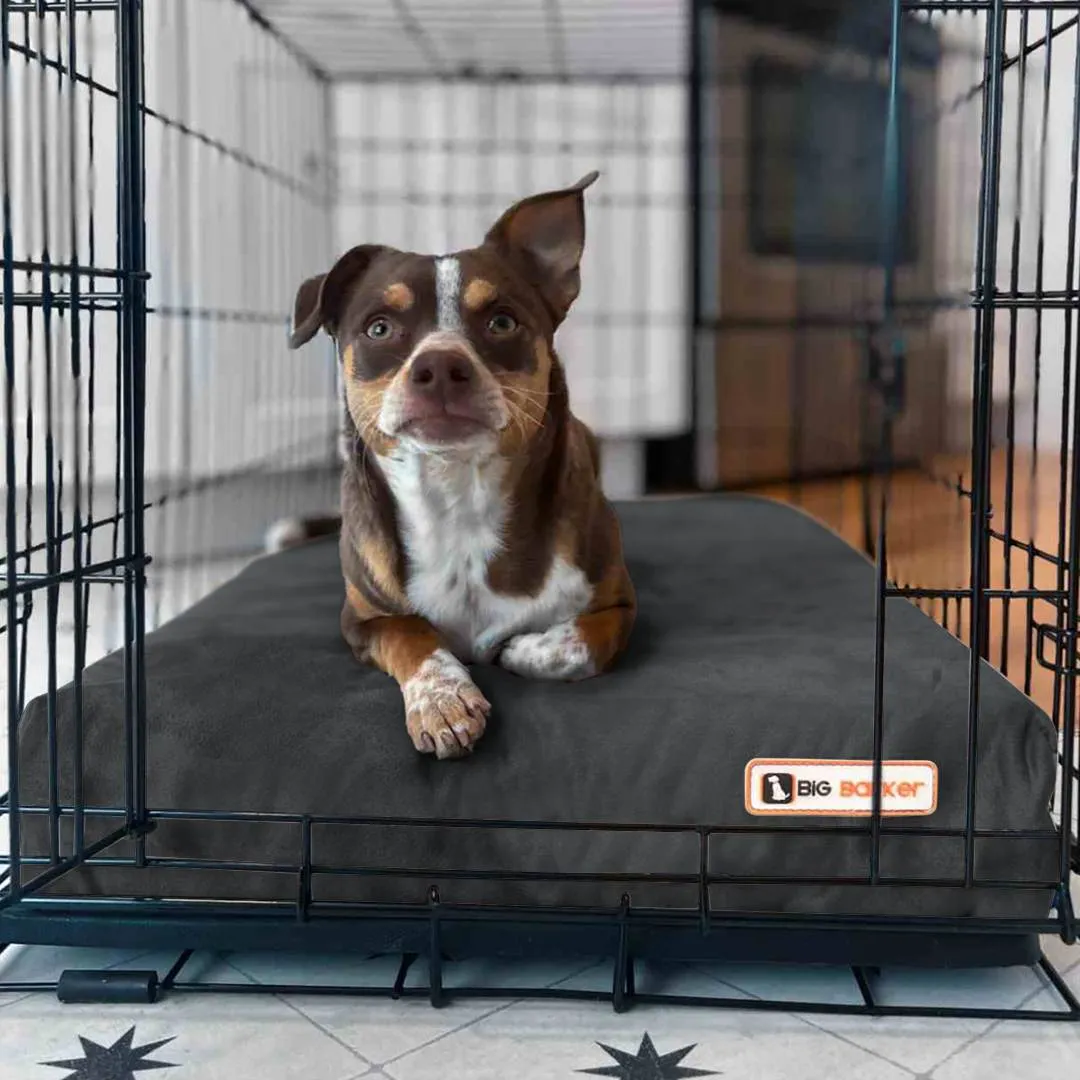 4" Orthopedic Crate Bed