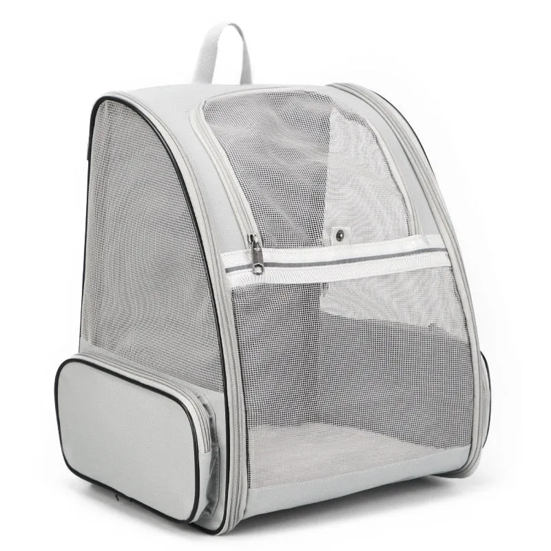 Backpack to Carry Cat