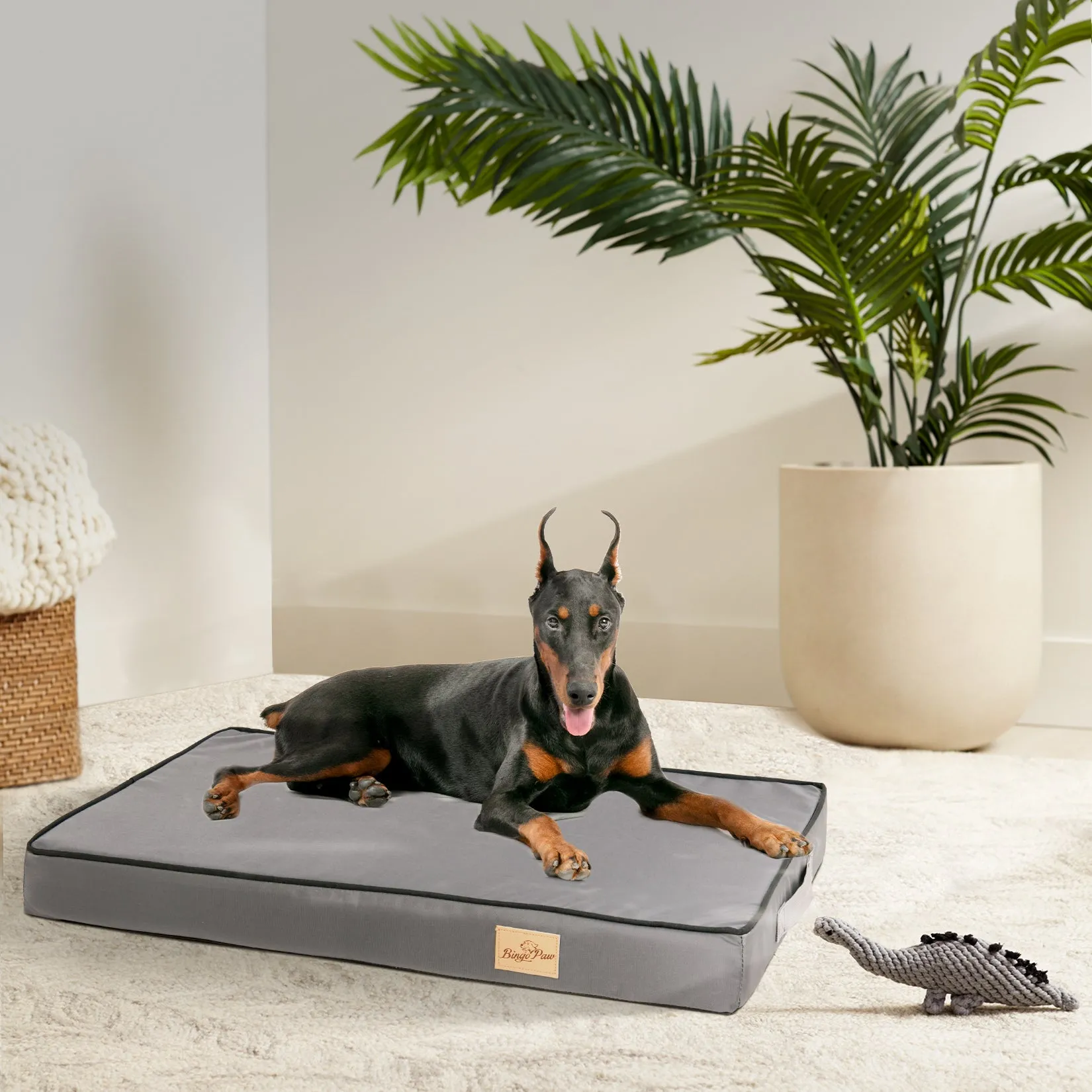 BingoPaw Extra Large Dog Bed Orthopedic Sponge with Washable Cover