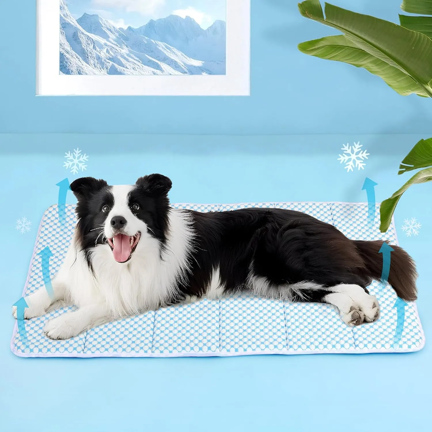 Chicute Dog Cooling Mat for Large Dogs - 35x23 Orthopedic Memory Foam Pet Pad for Summer, QMAX>0.5, Washable Premium Comfort Crate Pad for Your Furry Companion, Blue