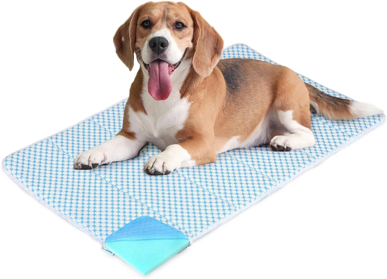 Chicute Dog Cooling Mat for Large Dogs - 35x23 Orthopedic Memory Foam Pet Pad for Summer, QMAX>0.5, Washable Premium Comfort Crate Pad for Your Furry Companion, Blue