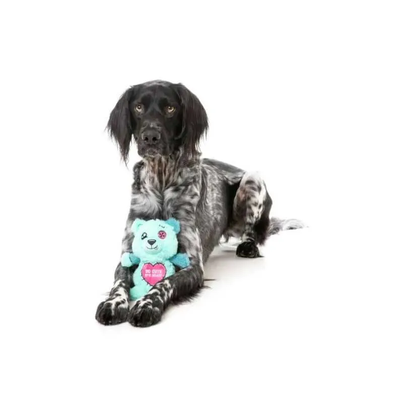Deaddy Bear Dog Toy