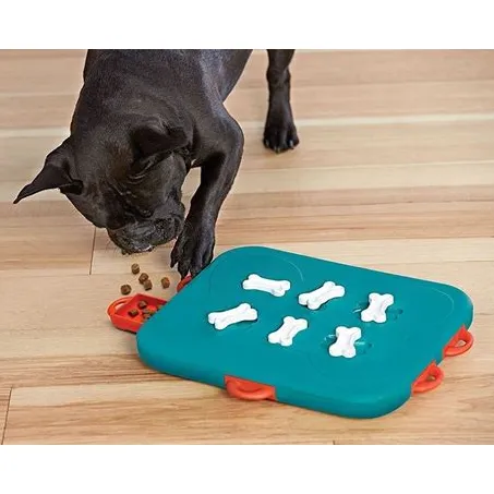 dog casino puzzle toy