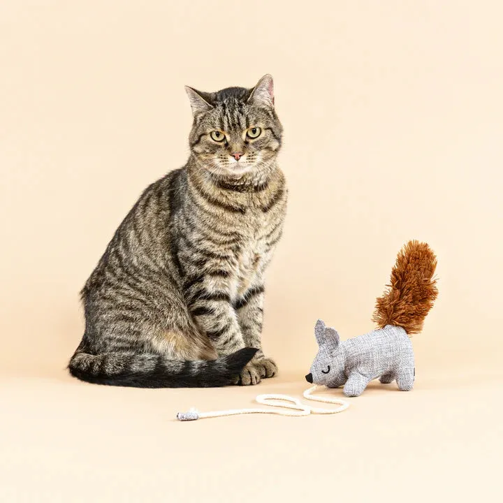 Fringe Cat Toy Teaser One Tuff Nut