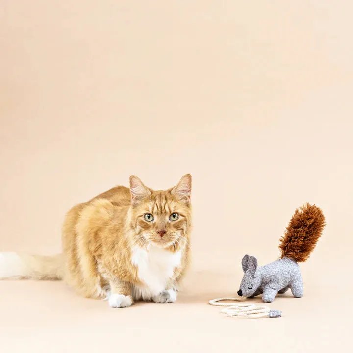 Fringe Cat Toy Teaser One Tuff Nut