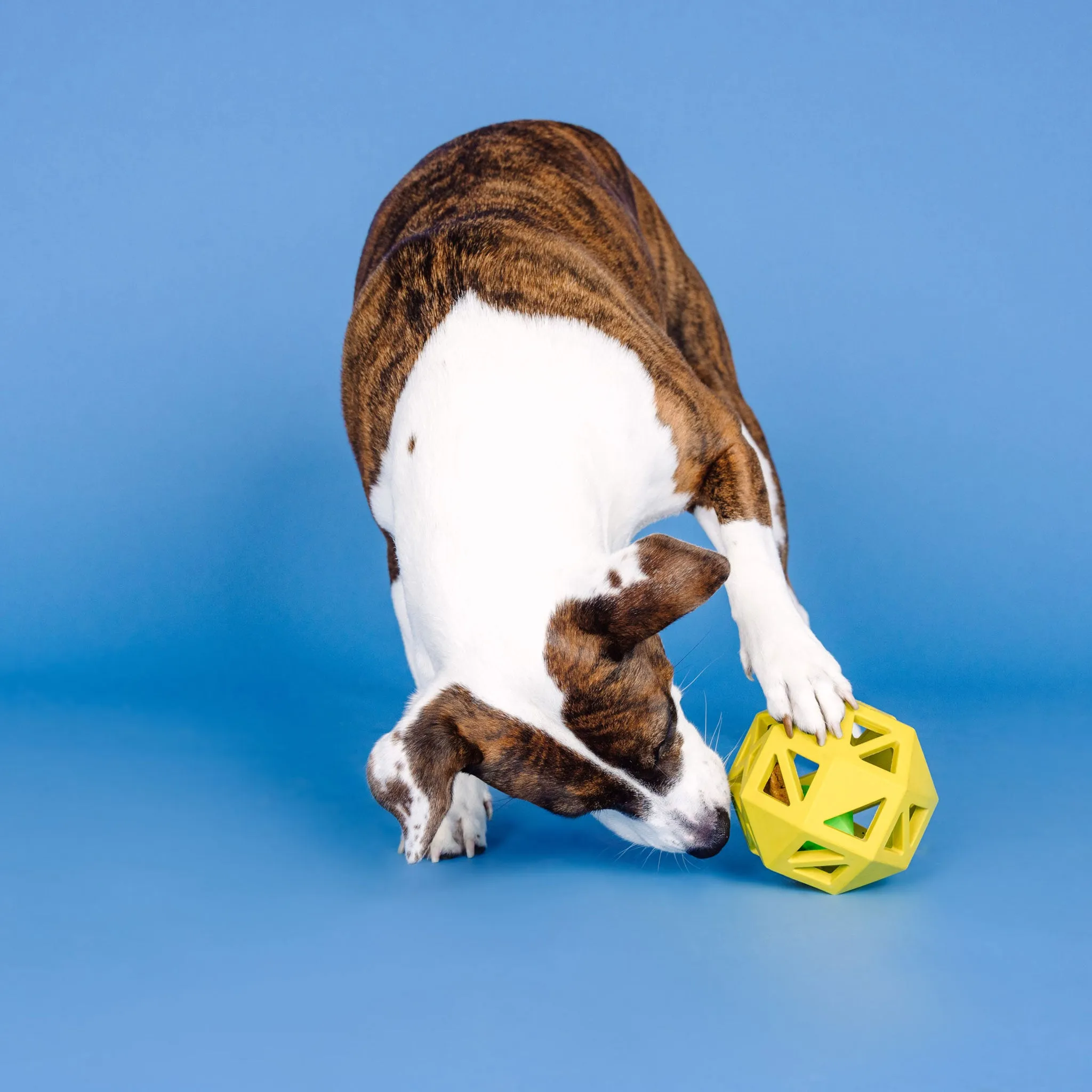 Fringe Double Treat Dispenser Puzzle Dog Toy - Yellow & Green