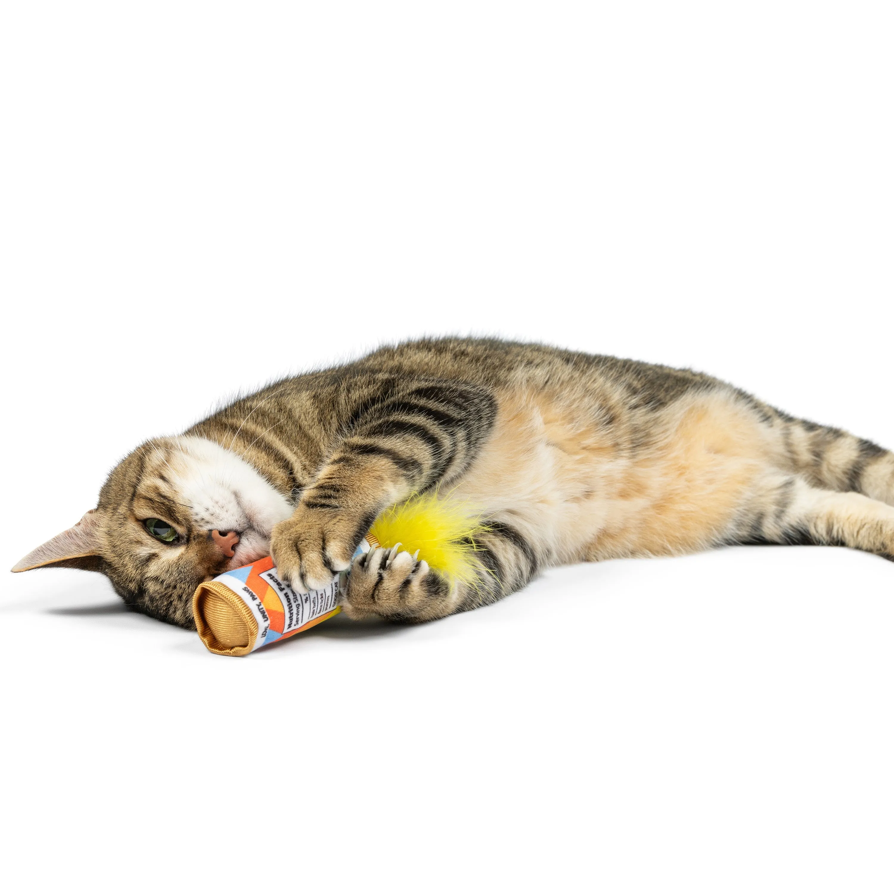 Fuzzy Soft Seltzer Cat Toy