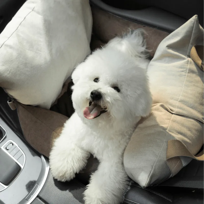 HiDREAM Luxurious All-Season Pet  Carrier Bed with Advanced Safety Features