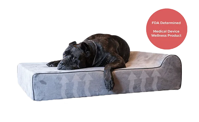 Infrared Orthopedic Dog Bed