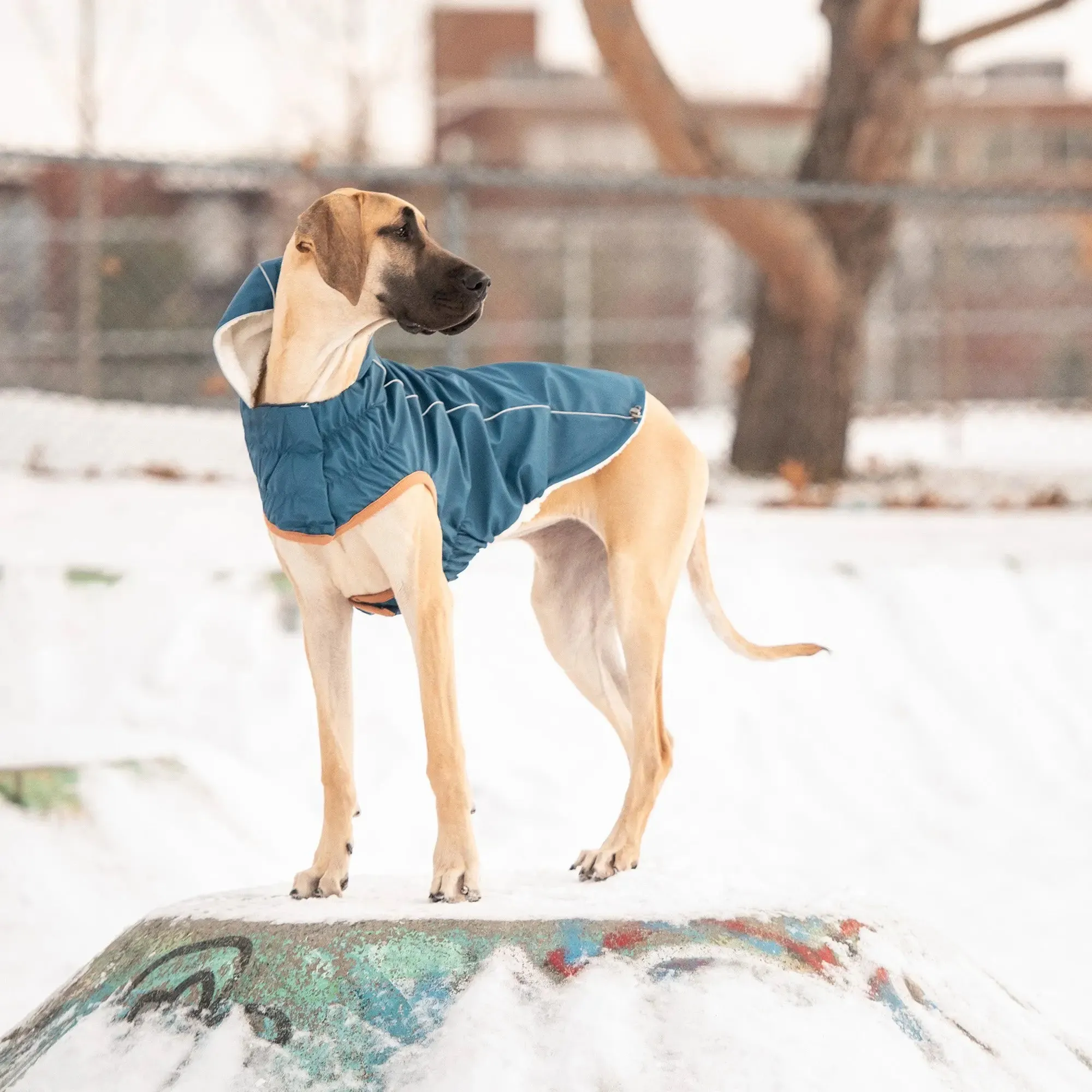 Insulated Dog Raincoat | Dark Blue