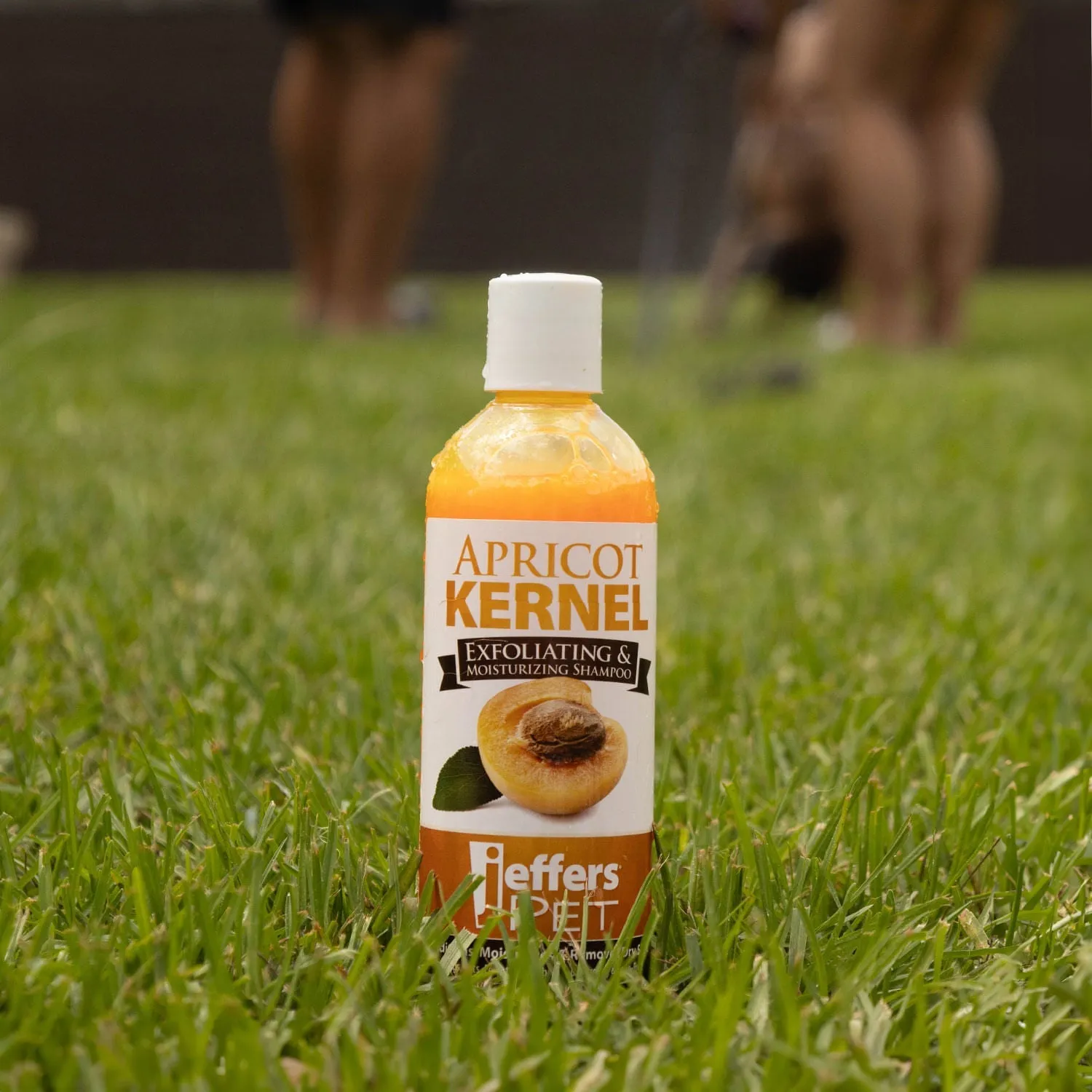 Jeffers Apricot Kernel Exfoliating & Moisturizing Pet Shampoo
