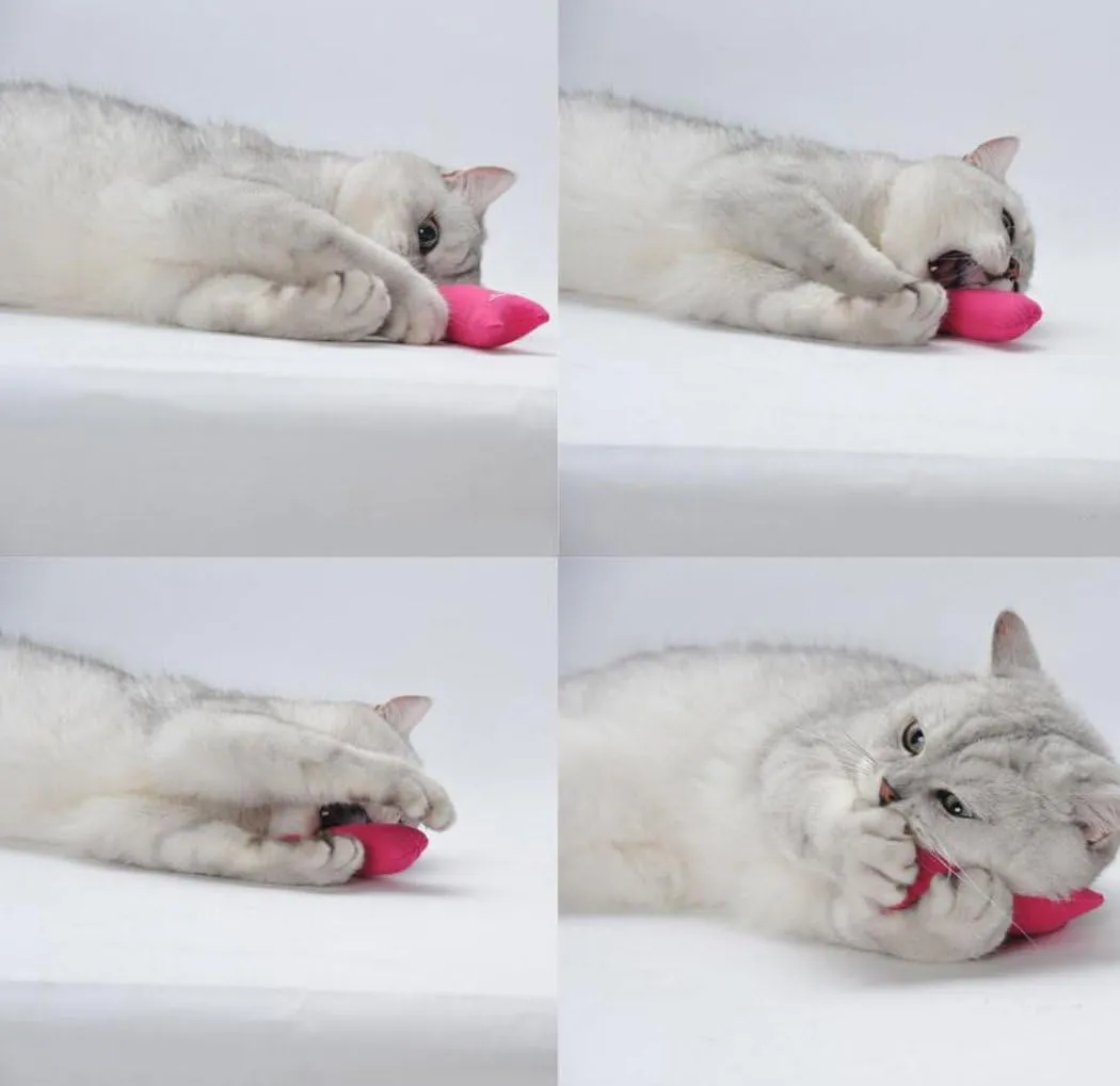 Legendog 5Pcs Bite Resistant Catnip Toys for Cats,Catnip Filled Cartoon Mice Cat Teething Chew Toy (Multicolored)