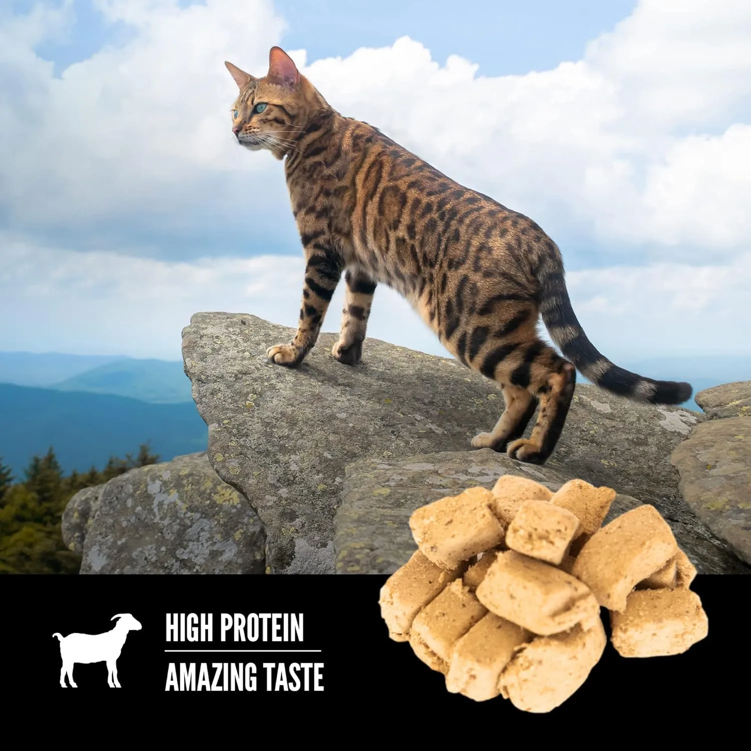 Orijen Tundra Freeze-Dried Cats Treats