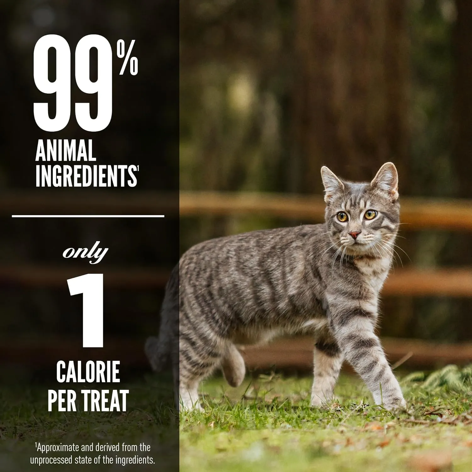 Orijen Tundra Freeze-Dried Cats Treats