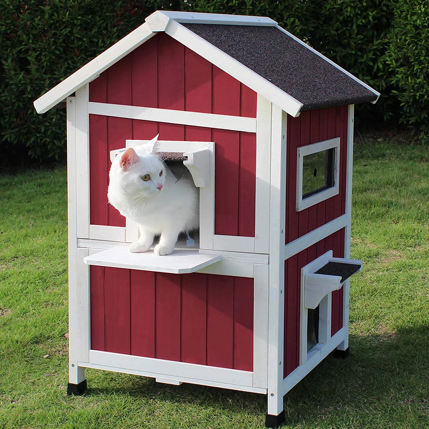 Outdoor Cat Shelter with Escape Door Rainproof Outside Kitty House