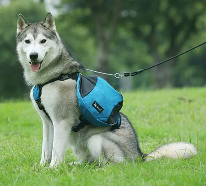 Oxford cloth pet pannier
