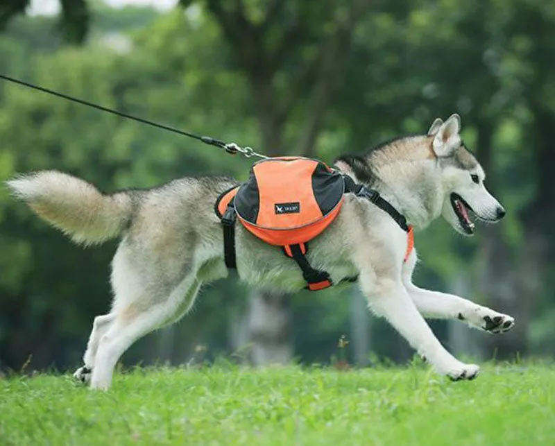 Oxford cloth pet pannier