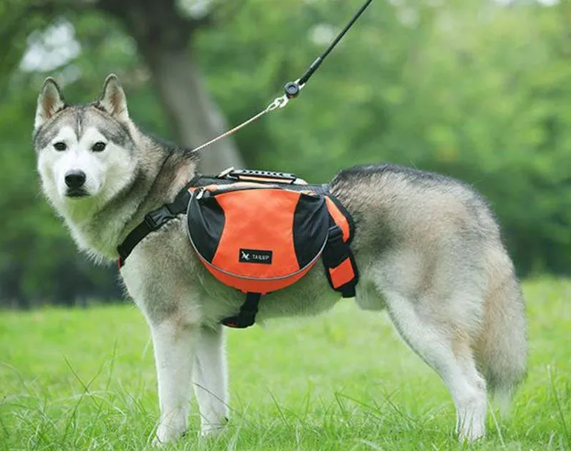 Oxford cloth pet pannier