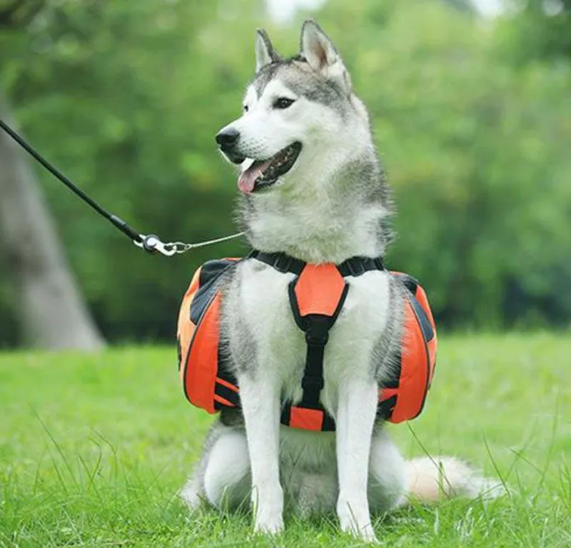 Oxford cloth pet pannier