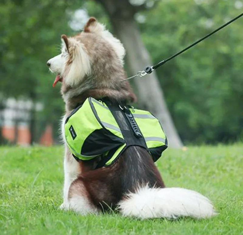 Oxford cloth pet pannier