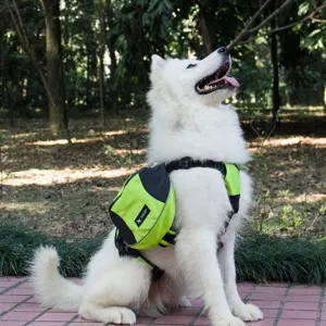 Oxford cloth pet pannier