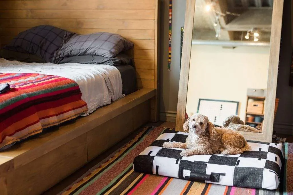 Patchwork #02 | ReMade Handcrafted Dog Bed or Cover