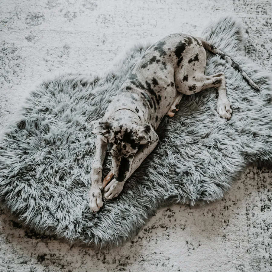 PupRug by Paw.com™ Faux Fur Orthopedic Dog Bed - Curve Charcoal Grey