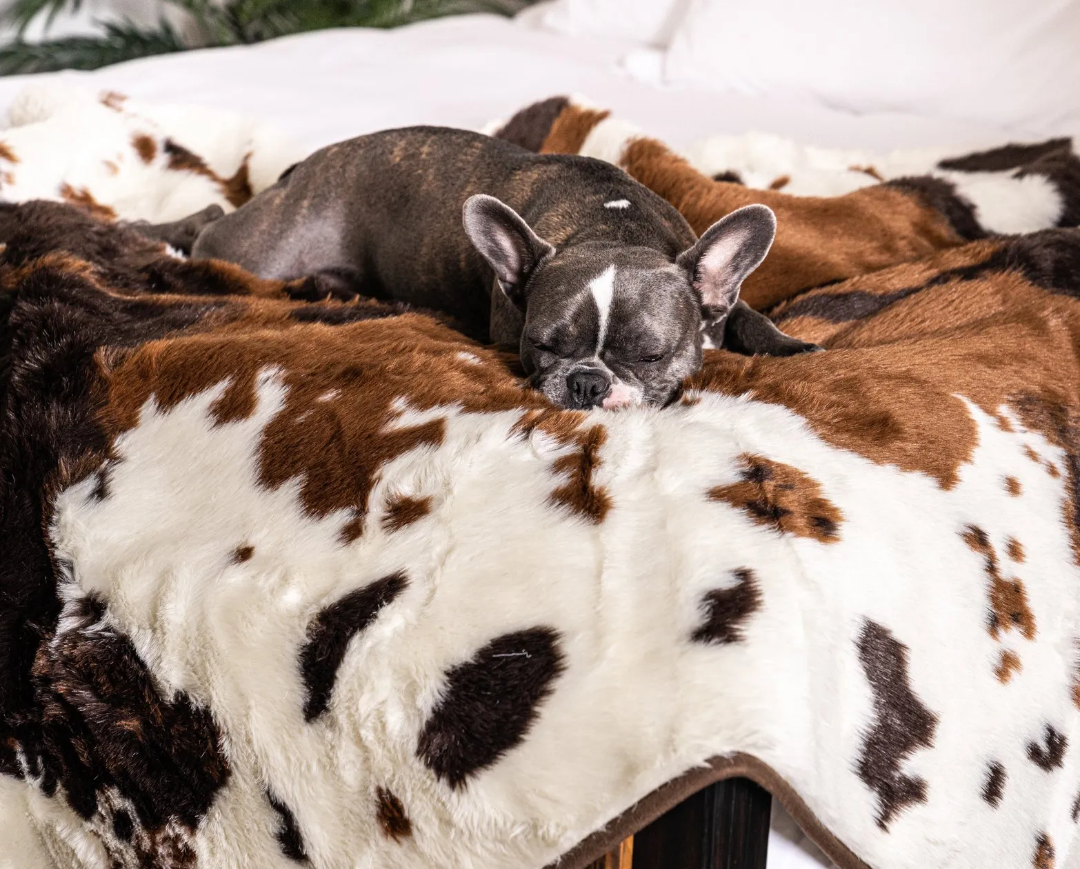 PupRug™ Junior Memory Foam Bed   Matching Waterproof Blanket Bundle - Brown Faux Cowhide