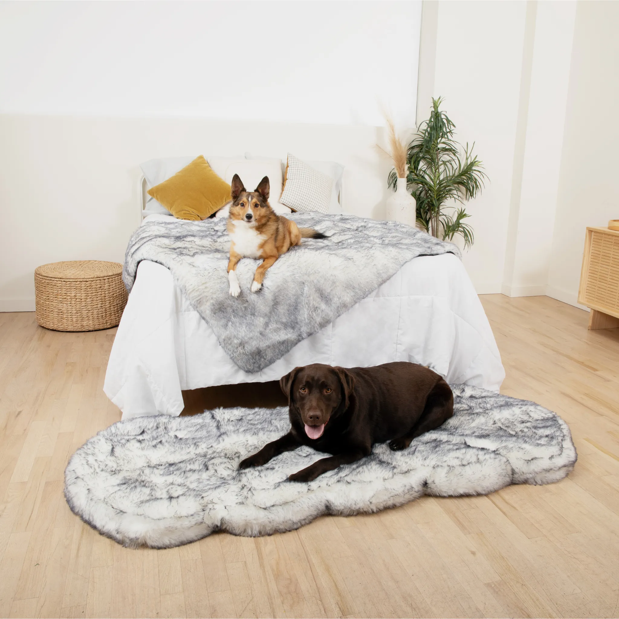 PupRug™ Luxe Orthopedic Runner Bed   Matching Waterproof Blanket  Bundle - Ultra Plush Arctic Fox