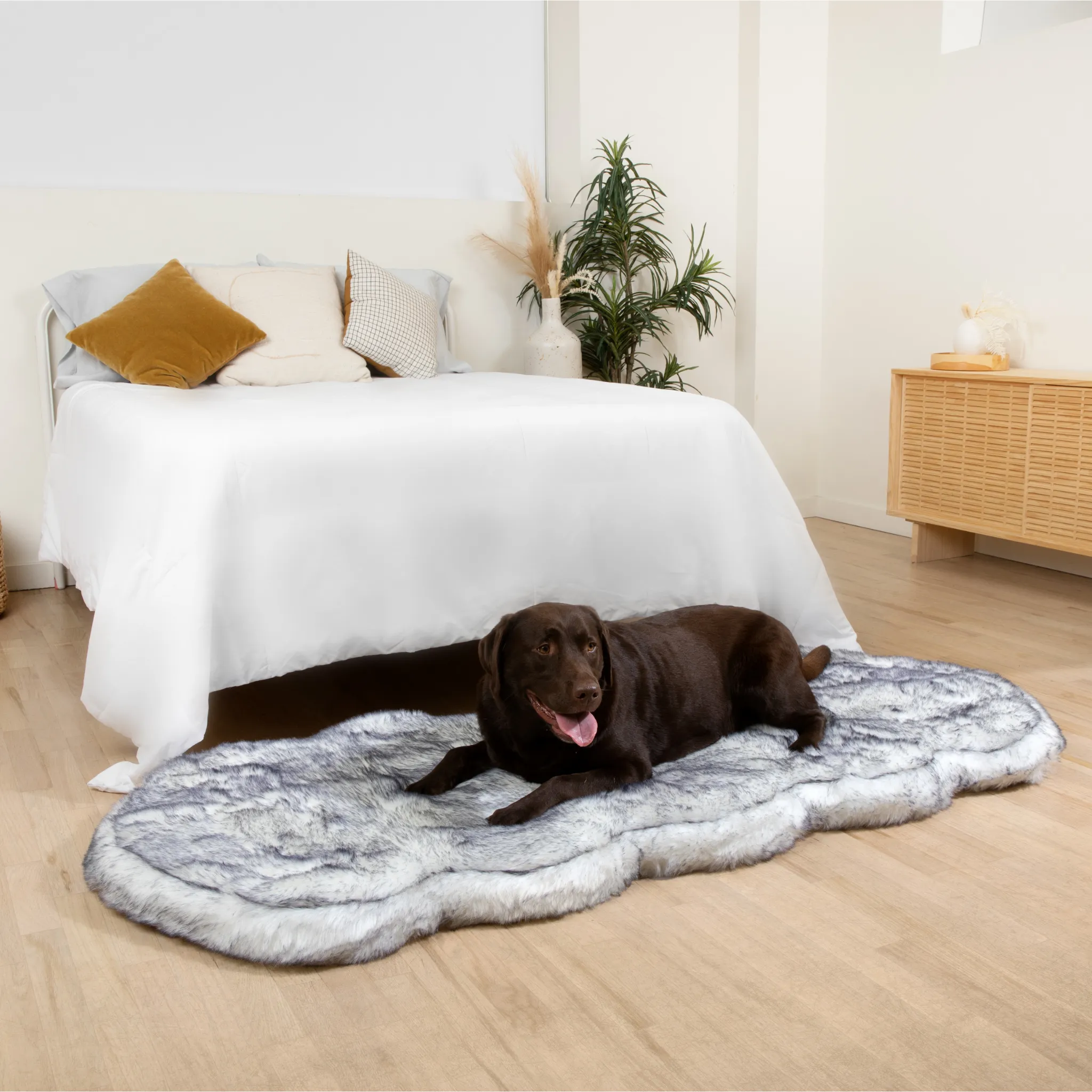 PupRug™ Luxe Orthopedic Runner Bed   Matching Waterproof Blanket  Bundle - Ultra Plush Arctic Fox