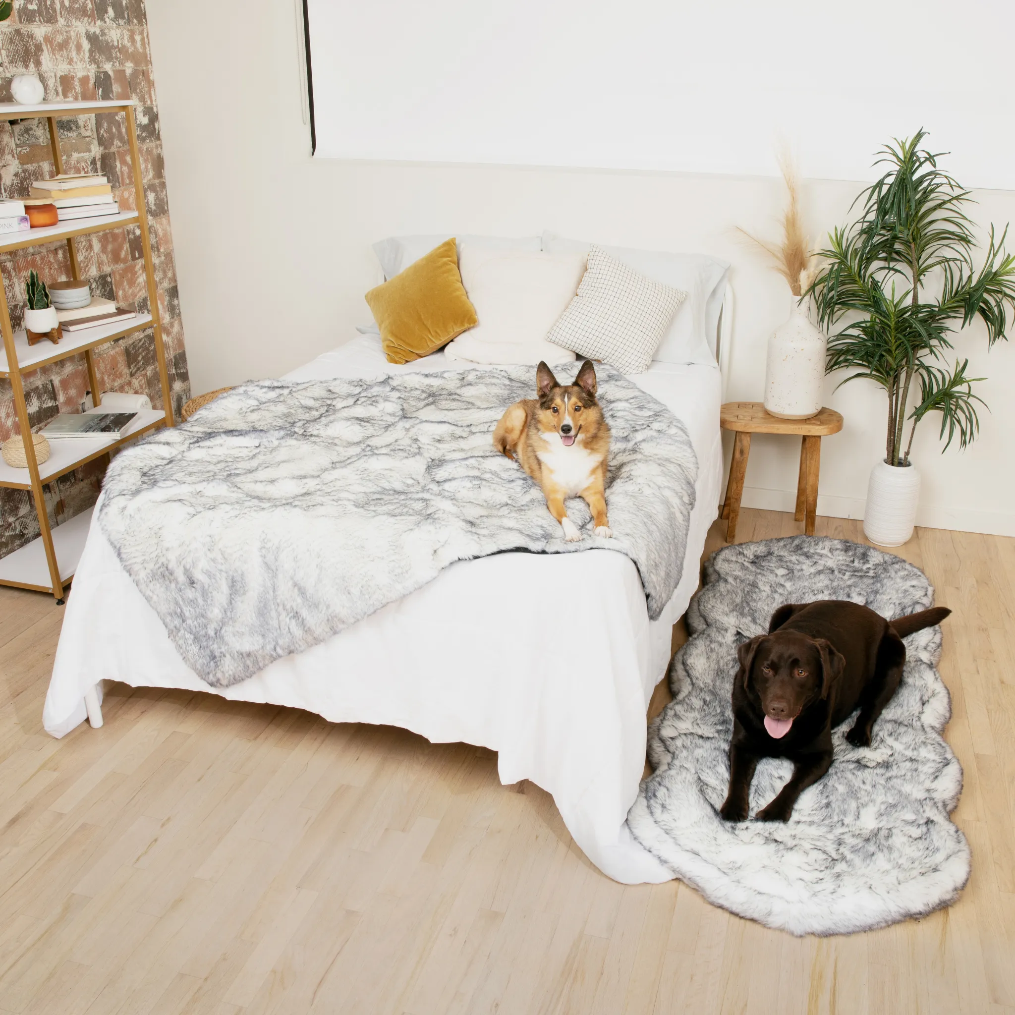 PupRug™ Luxe Orthopedic Runner Bed   Matching Waterproof Blanket  Bundle - Ultra Plush Arctic Fox