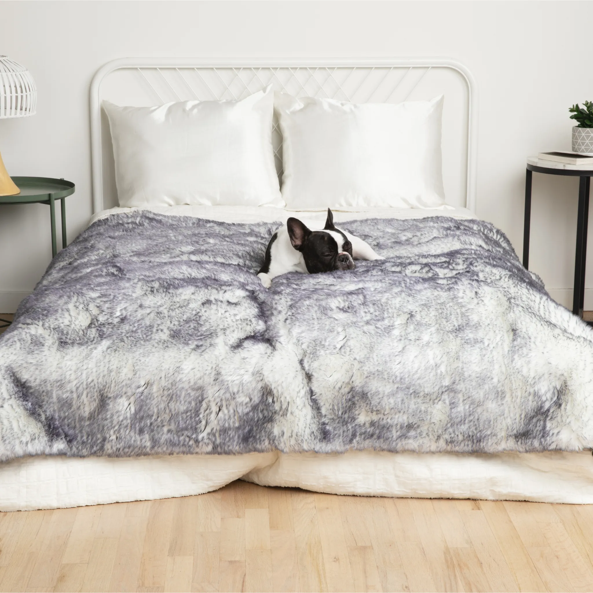 PupRug™ Luxe Orthopedic Runner Bed   Matching Waterproof Blanket  Bundle - Ultra Plush Arctic Fox