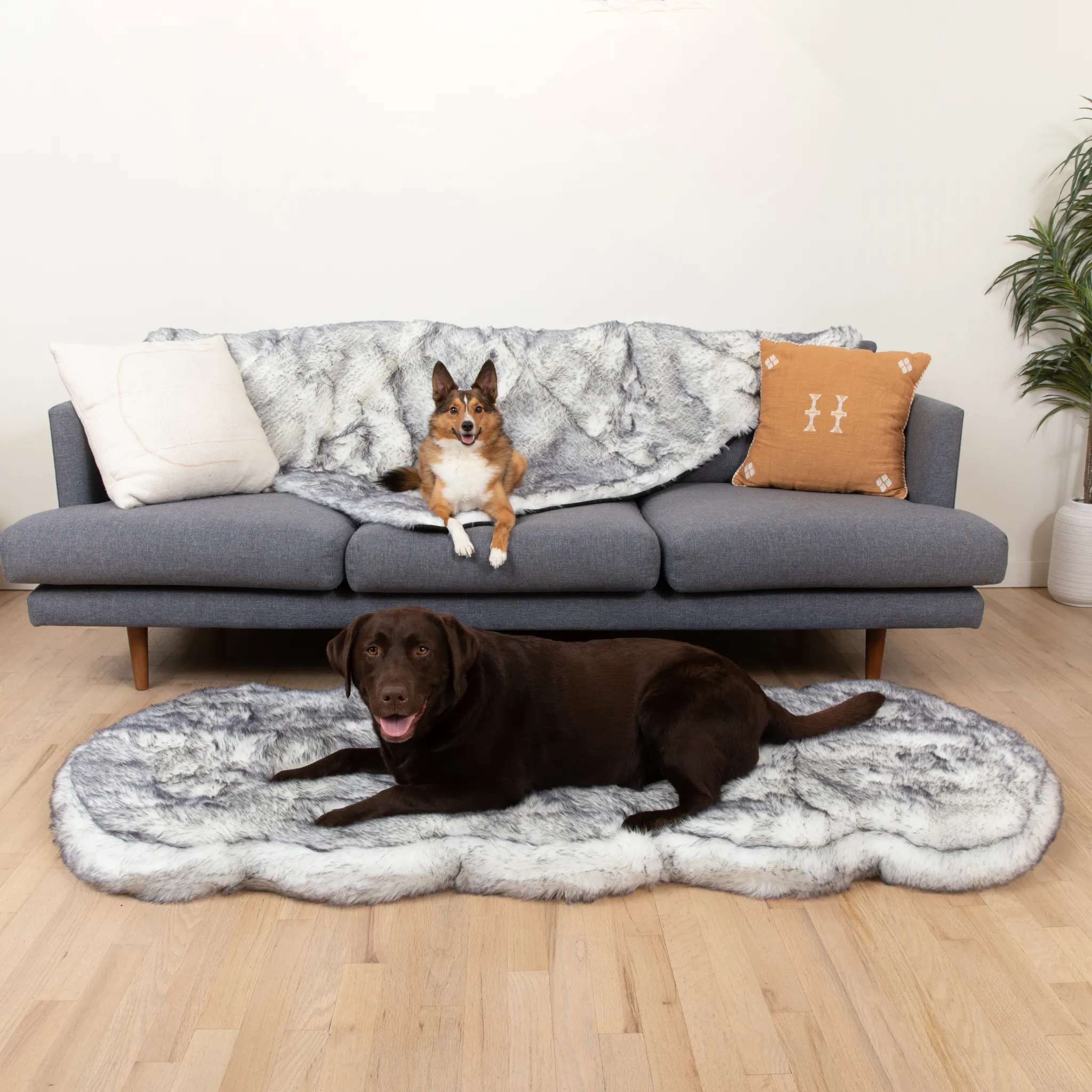 PupRug™ Luxe Orthopedic Runner Bed   Matching Waterproof Blanket  Bundle - Ultra Plush Arctic Fox
