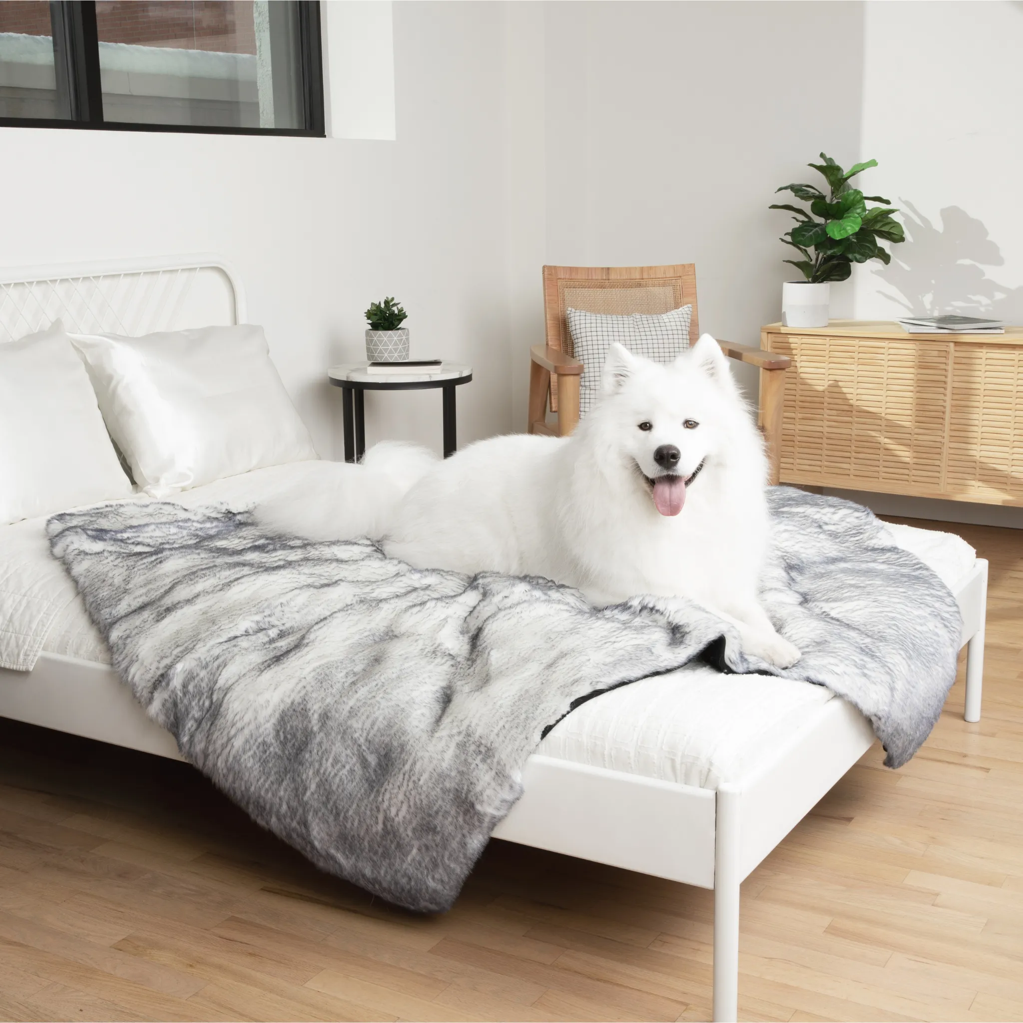 PupRug™ Luxe Orthopedic Runner Bed   Matching Waterproof Blanket  Bundle - Ultra Plush Arctic Fox
