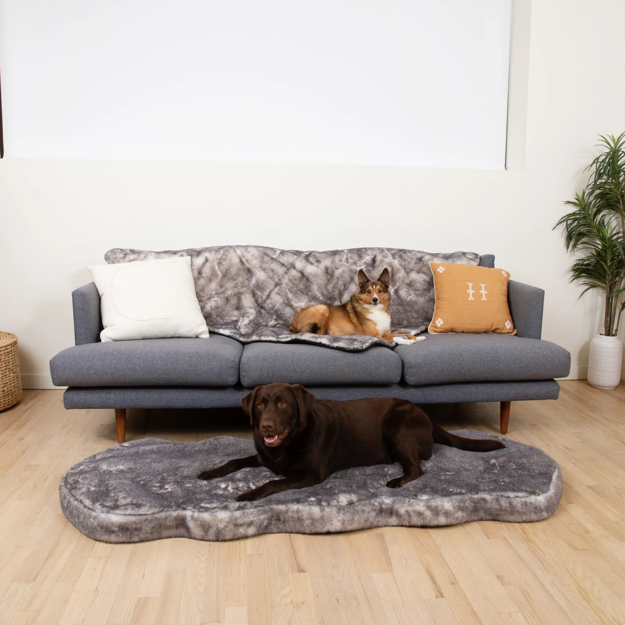 PupRug™ Luxe Orthopedic Runner Bed   Matching Waterproof Blanket  Bundle - Ultra Soft Chinchilla