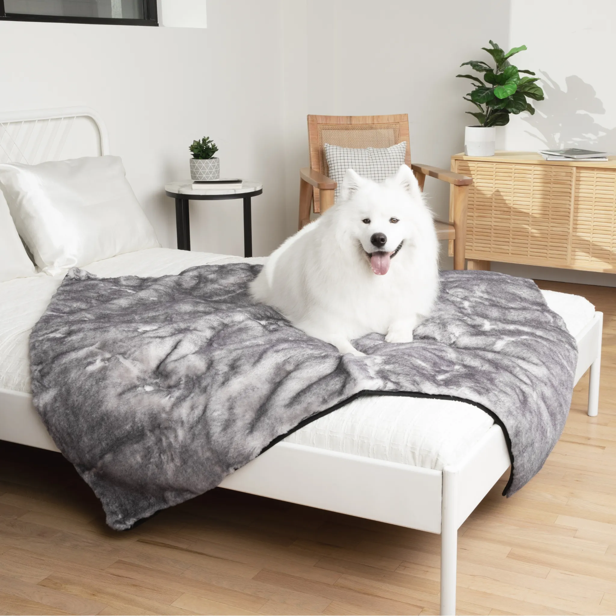 PupRug™ Luxe Orthopedic Runner Bed   Matching Waterproof Blanket  Bundle - Ultra Soft Chinchilla