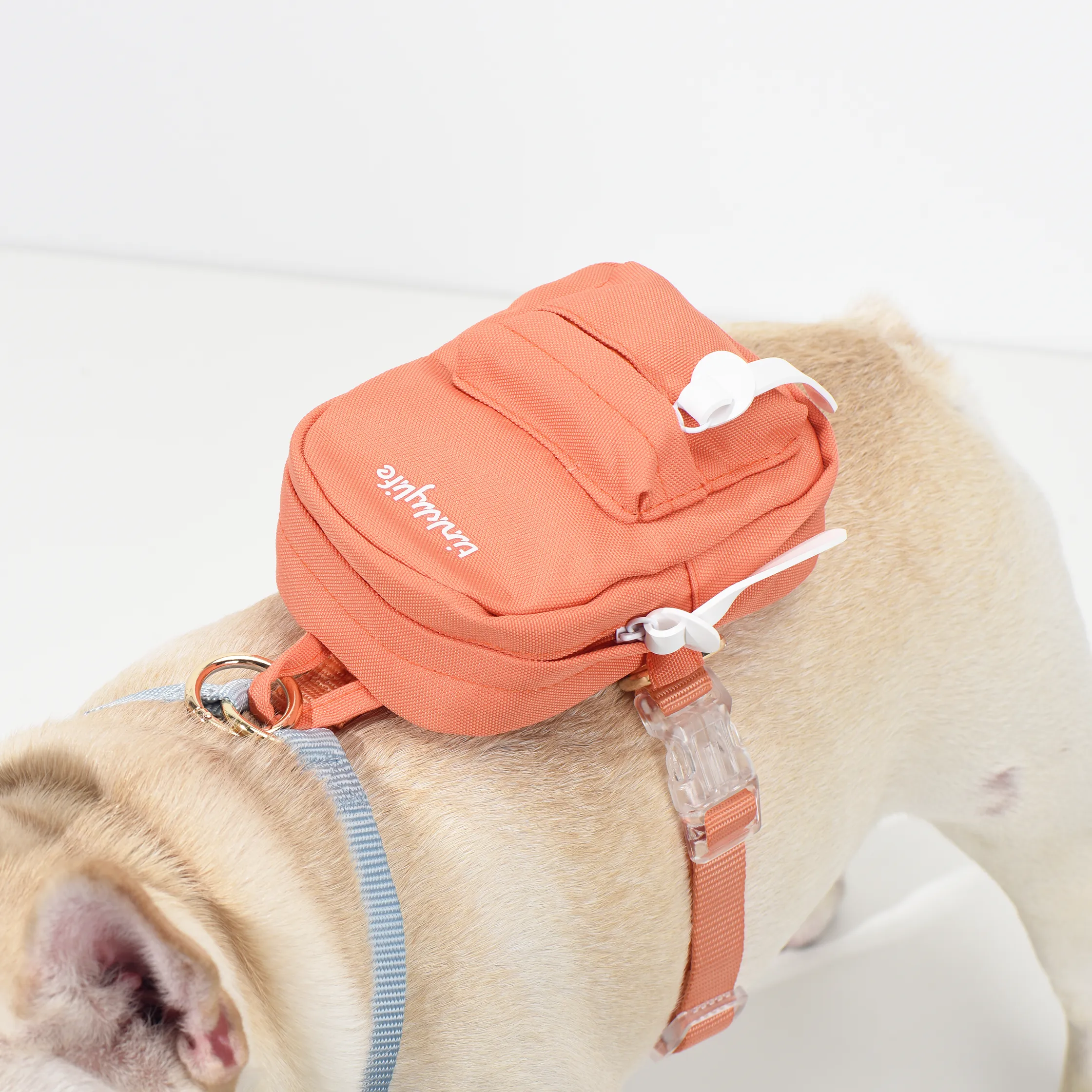 Rainbow Mini Dog Backpack