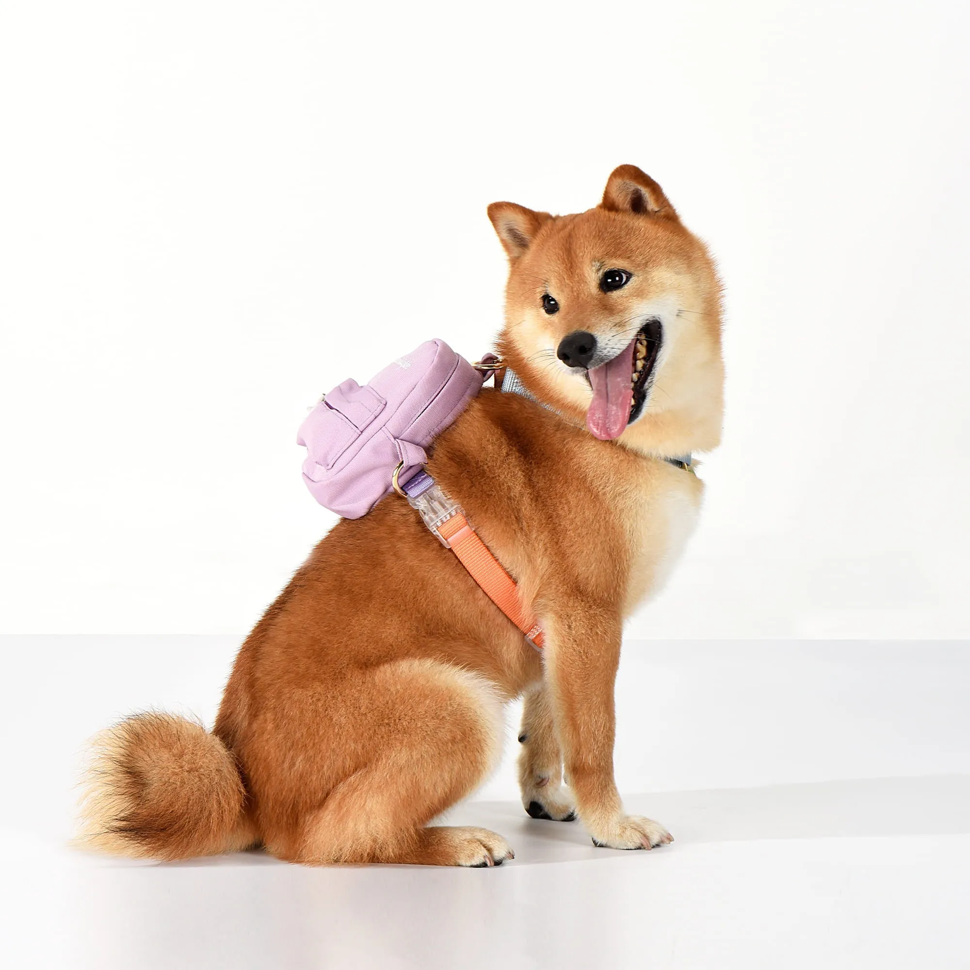 Rainbow Mini Dog Backpack