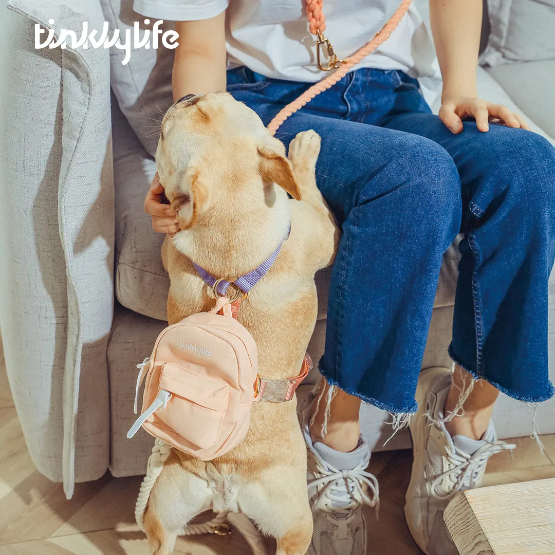 Rainbow Mini Dog Backpack