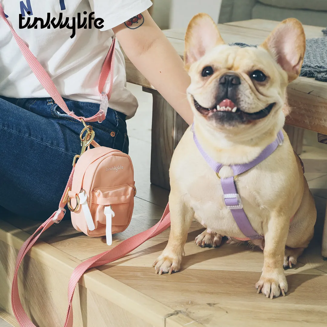 Rainbow Mini Dog Backpack